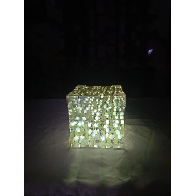 Cubo con Tulipanes Infinitos